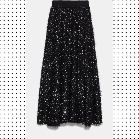 Zara Pearl and Sequin Maxi Skirt - Picture 5 of 6